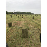 Fardos De Alfalfa - Mezcla Con Avena/paja Y Trigo Para Camas