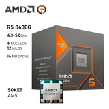 Amd Ryzen 5 8600g