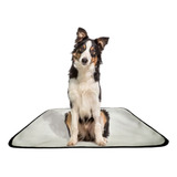 Tapete Pet Lavavél Xixi Dog Cão Tamanho Grande 60x80cm Kit 5