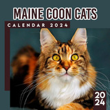 Libro: Maine Coon Cats Calendar: Pets Calendar From January 