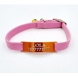 Chapita Gato Color Naranja + Collar 1 Cm Elastizado Rosa