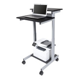Stand Up Desk Store Rolling Standing Height Two Level Standi