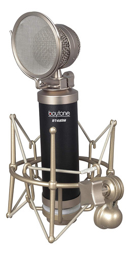 Boytone Bt-68sm Condensador De Podcast De Grabacion De Estud