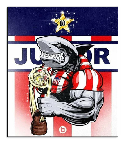 Cuadro Retablo Junior De Barranquilla Tiburon Campeon 50x70