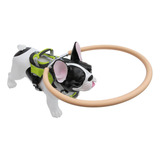 Blind-dog - Accesorios De Arnés De Halo Para Perros, Paracho