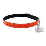 Sochii Collar Personalizado Para Gato, Collar Fluorescente P