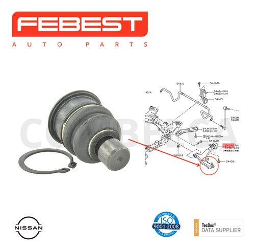 Munon Meseta Delantera Nissan Qashqai J10e 2006-2013 Foto 2