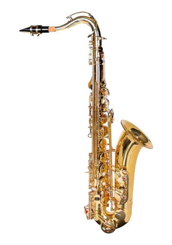 Saxofone Sax Tenor Bb Dominante Laqueado Dourado C/ Case