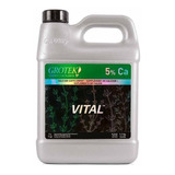 Vital 500ml Grotek (calcio Orgánico Fortalece Plantas) 