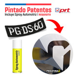 Plantillas Patentes Camión Puerta + Pintura Spray Automotriz
