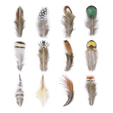 Plumas Mix 24pz Decorativas Aves Varias Merceria 5-15cm