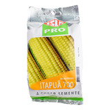 Semente De Milho Verde Híbrido Itapuã 700 100g Isla