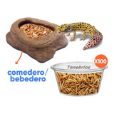 Comedero Bebedero Terrario Reptiles Gecko Pogona Tenebrios