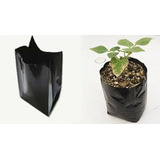 Pack 200 Bolsas Para Plantas 25x25 En 0.8mm De Espesor 