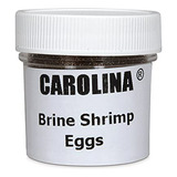 Comida Para Peces - Huevos De Camarón En Salmuera (artemia),