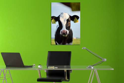 Vinilo Decorativo 40x60cm Vaca Animales Campo Pasto M10