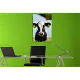 Cuadro Canvas Vaca Animales Campo Pasto Funny M10