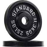 Powergainz Olympic 2-inch Cast Iron Plate Weight Plate ...