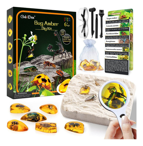 Juego Educativo Amber Dig Kit Resina De Insectos Art Fr80jc