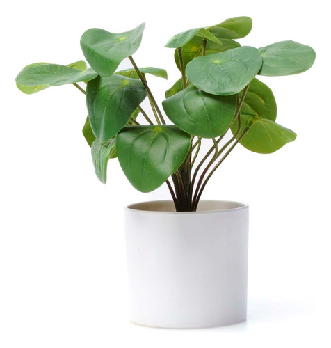 Planta Artificial Interior Decoracion Pilea 30cm