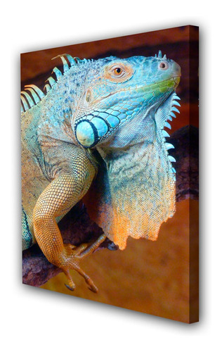 Cuadro 50x75cm Iguana Reptil Lagartija Fauna M3