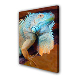 Cuadro 50x75cm Iguana Reptil Lagartija Fauna M3