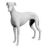 Maniquí Modelo Perro Galgo Alto 70cm P/ Pintar Ayrax