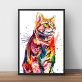 Quadro Decorativo Gato Colorido  Poster  Animais Moldura A3