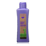 Salerm Biokera Natura Grapeology Shampoo 300ml Importado