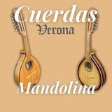 Encordado 8 Cuerdas De Mandolina Verona Plateada Metálicas
