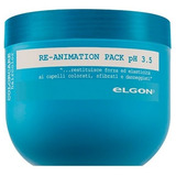 Mascarilla Pelo Colorcare Reanimation Pack 500 Ml Elgon