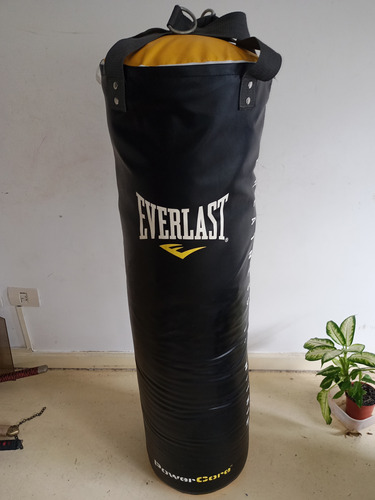 Bolsa De Boxeo Everlast Power Core