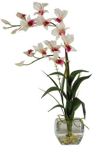 Casi Natural Liquido Ilusion Dendrobium Seda Flor Con Jarron