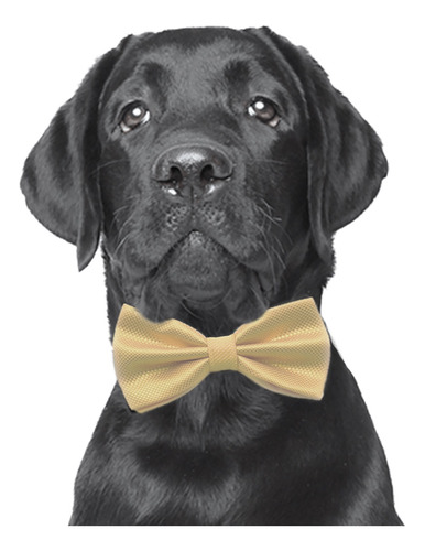 1 Moño Corbata Para Perro Mediano Grande Diferentes Colores