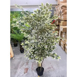 Ficus Variegata Árvore Artificial Para Sala Planta Com 180cm