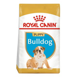 Royal Canin Bulldog Frances Puppy X 3kg + Envios!!!