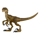 Velociraptor Jurassic Park - Hammond Collection