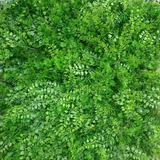 Muro De Plantas Artificiales Verde Jungle 50x50cm Soft Mix