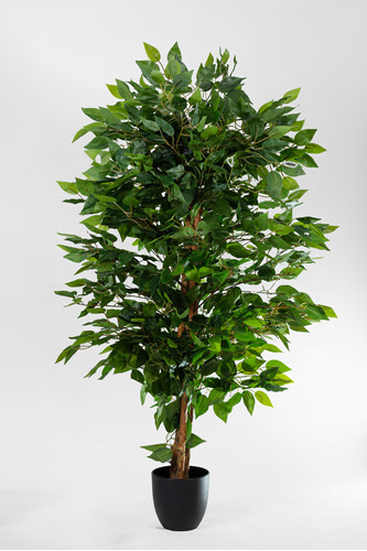 Planta Ficus Bayan Artificial / Apariencia Real
