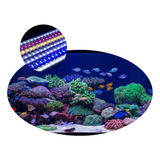 Kit Luminária Barra Tubo Led Iluminação Aquário Peixes