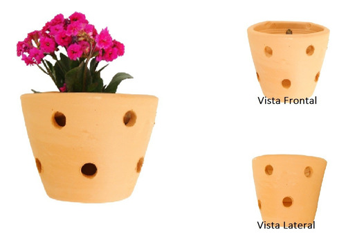 Vaso Barro Orquidea Premium Floreira Parede Jardim G 6pçs