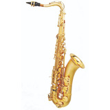 Sax Tenor Hoyden Jateado Hts-25jo (sib)