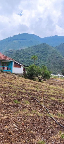 Finca De 1.650m2 En Venta Aují El Cerrito Valle Del Cauca Colombia - Imagen 3