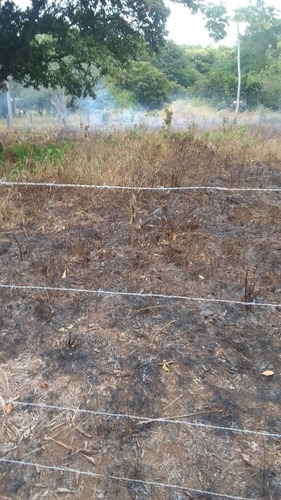 Lote Raudal La Chorrera
