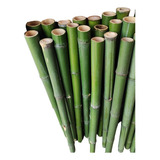 10 Varas De Bambú Natural Jardin 100 Cm Largo / 5 Cm Grosor