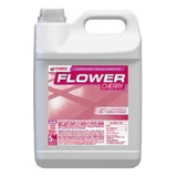 Desodorante Piso Limpiador Flower 5 Litros Thames