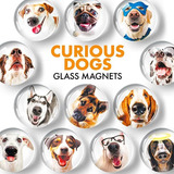 Fridge Magnets Funny Dogs  Glass Decorative Magnets For .