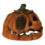 Decorativo Halloween Calabazas Podridas - Rotten Pumpkin 2
