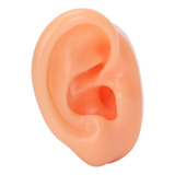 Silicona Oído Derecha Modelo Simulación De Oído Artificial