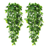 Regalo De 2 Plantas Artificiales Colgantes For Pared